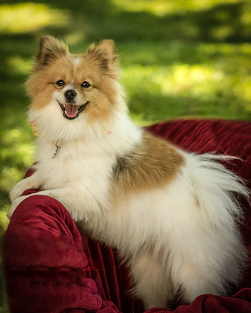 Foster Sydney-7521