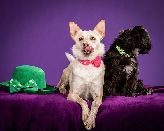 Henry and Maggie-1252