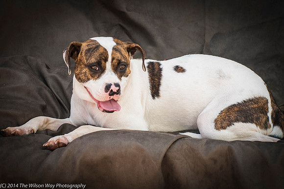 Foster Mikell-2541