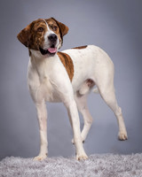 Foster Daniel-6353
