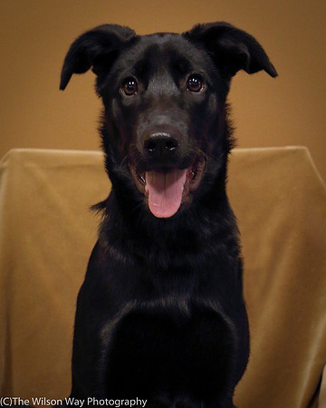 Foster Nadirah-0538