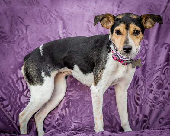Foster Buffy-5616