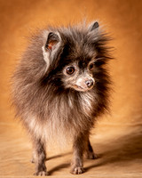 Foster Loretta-1263