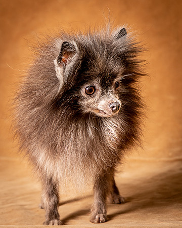 Foster Loretta-1263