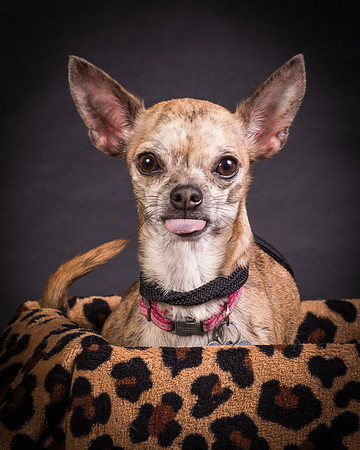 Foster Selina-1158