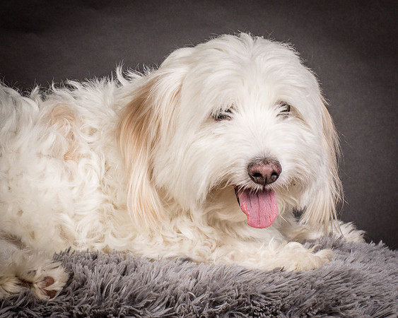 Foster Frosty-0632