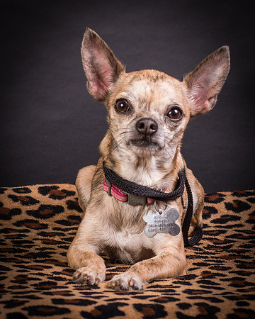 Foster Selina-1246