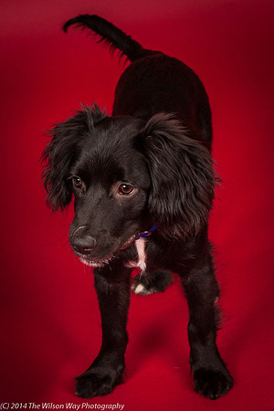 Murphy-6171