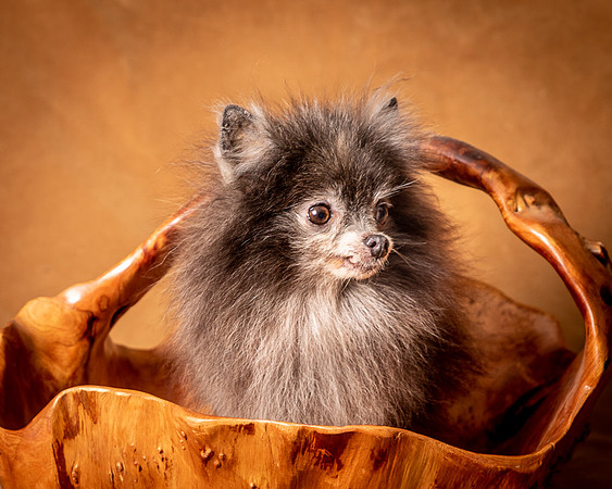 Foster Loretta-1316