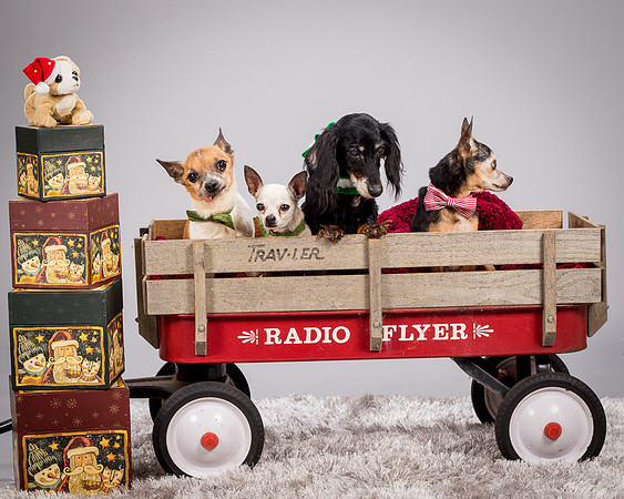 Foster Hospice Gang-3945