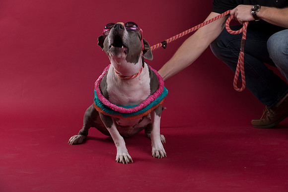 Calendar Bloopers-8893