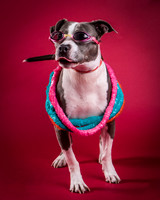 Lucy-8921