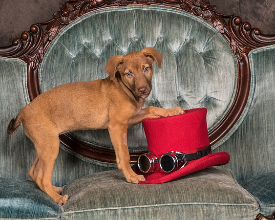 Foster Bronwyn-8291