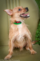 Foster Harry-3630