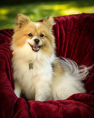 Foster Sydney-7492