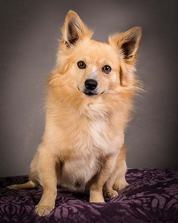 Foster Sergio-8062