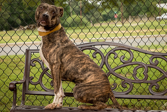 Gus-1594
