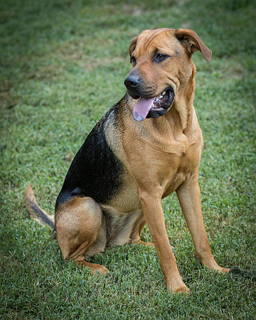 Foster Maya-0420