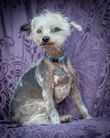 Foster Freckles-5427