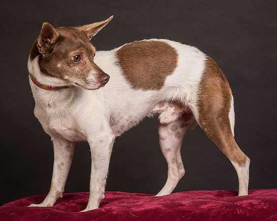 Foster Gus-0368