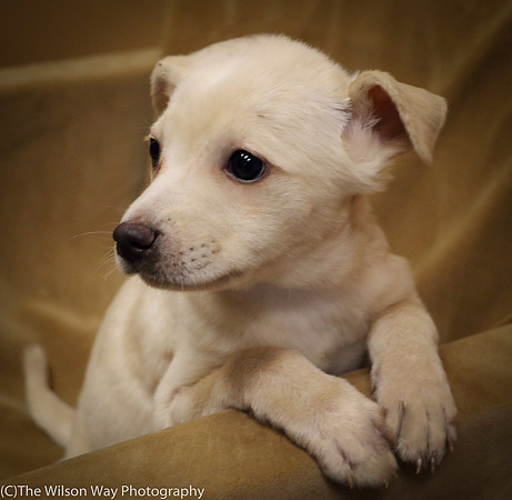 Foster Signey-0255