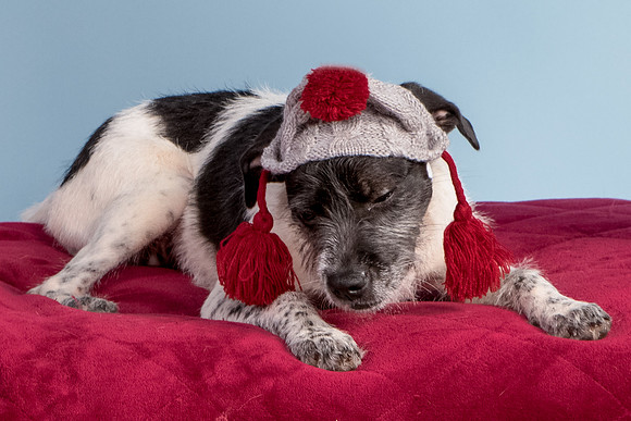 Foster Billie-8259