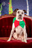 Foster Sylvester-0945