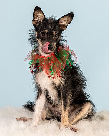 Foster Riley-5013
