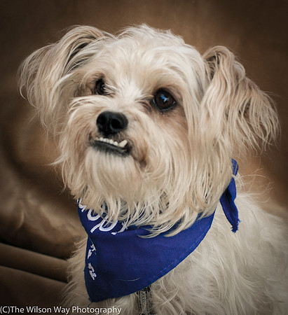 Foster Ricky-9019