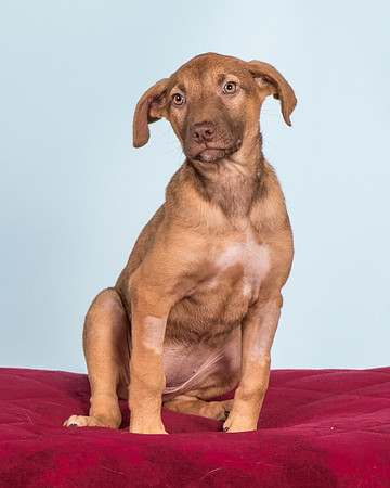 Foster Bronwyn-8361