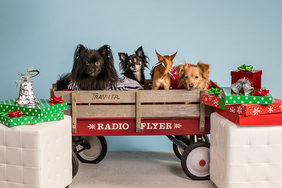 Bolling-4996