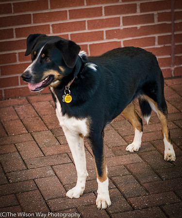 Foster Cady-9890