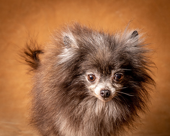 Foster Loretta-1278