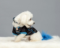 Bowen-2678