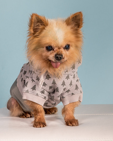 Foster Horace-0920