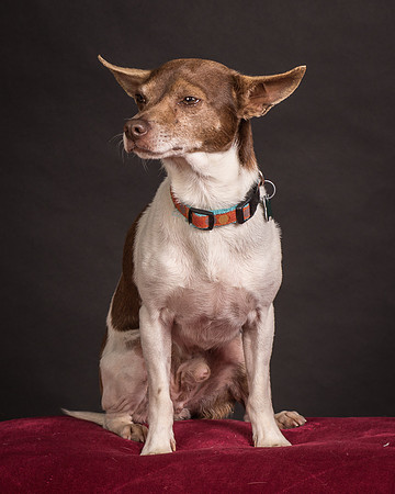 Foster Gus-0338