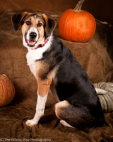 Molly-4431