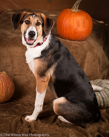 Molly-4431