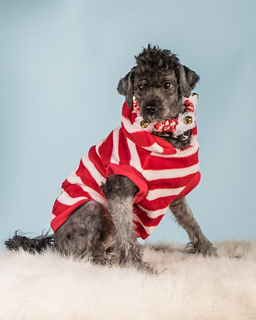 Foster Oakland-5576