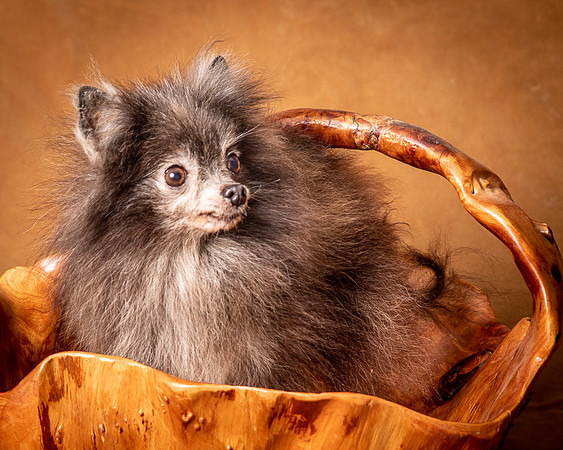 Foster Loretta-1309