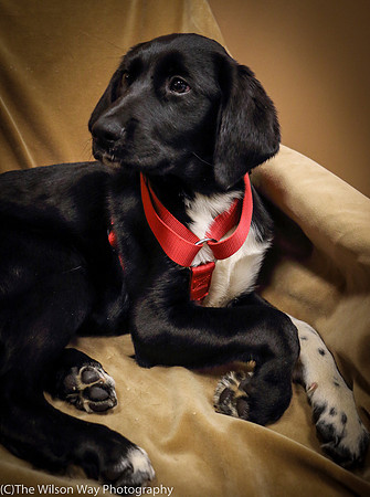 Foster Carolina-0870