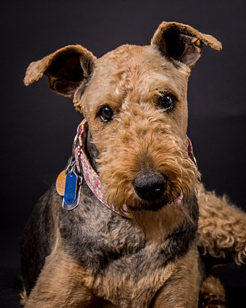Sammie-7602