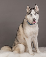 Foster Aspen-7587