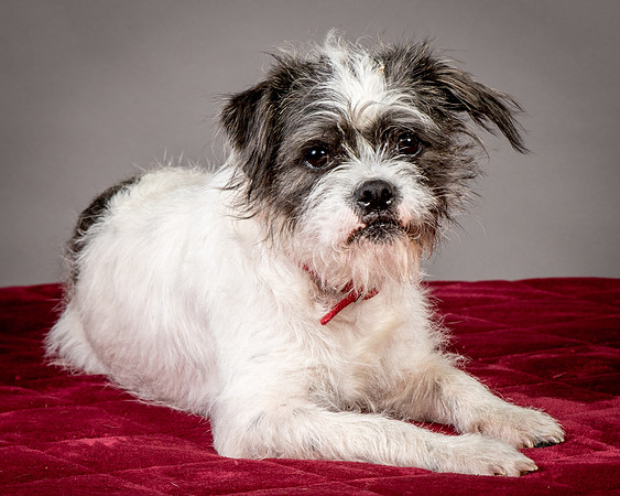 Foster Leeza-2743