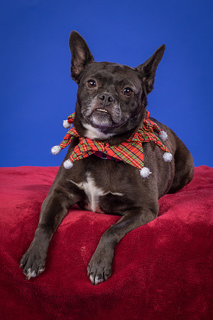 Slattery-Bella-0095