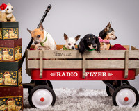 Foster Hospice Gang-3822
