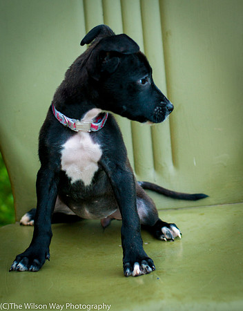 Foster Beryl-3833