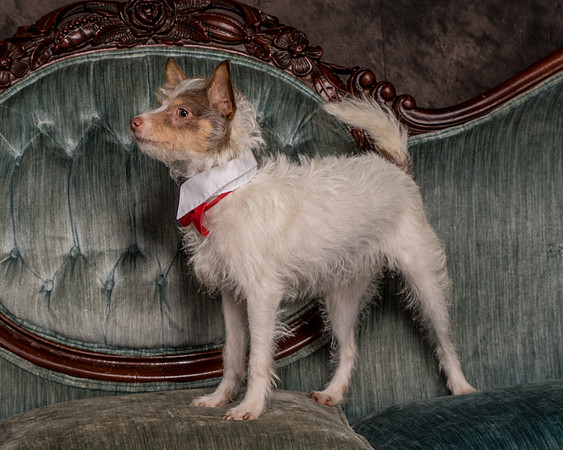 Foster Reagan-4868