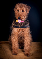 Dixie Lou-5635