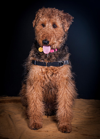 Dixie Lou-5635